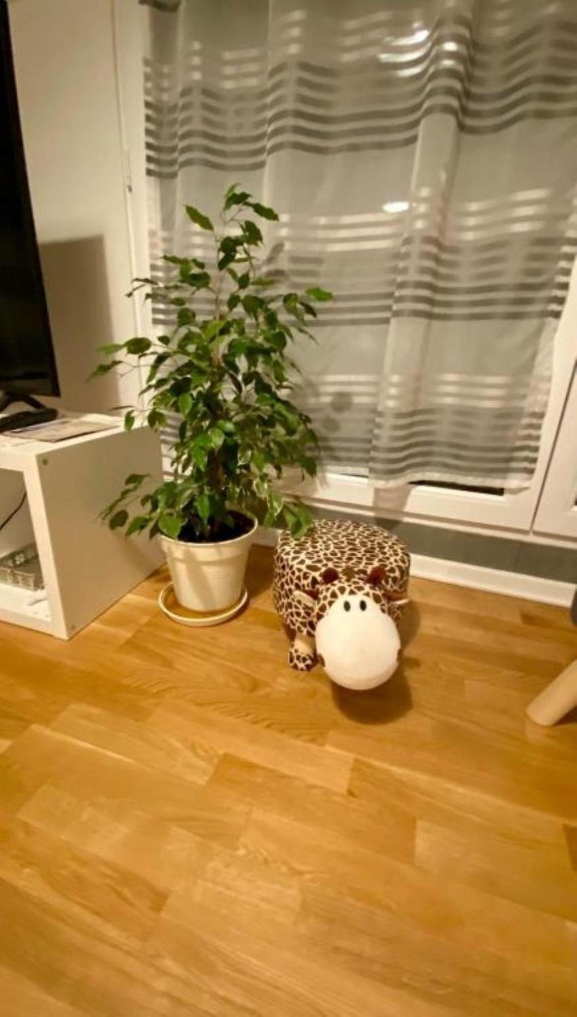 Schoenes Erwachen Im Frankfurter Penthouse Франкфурт на Майн Екстериор снимка